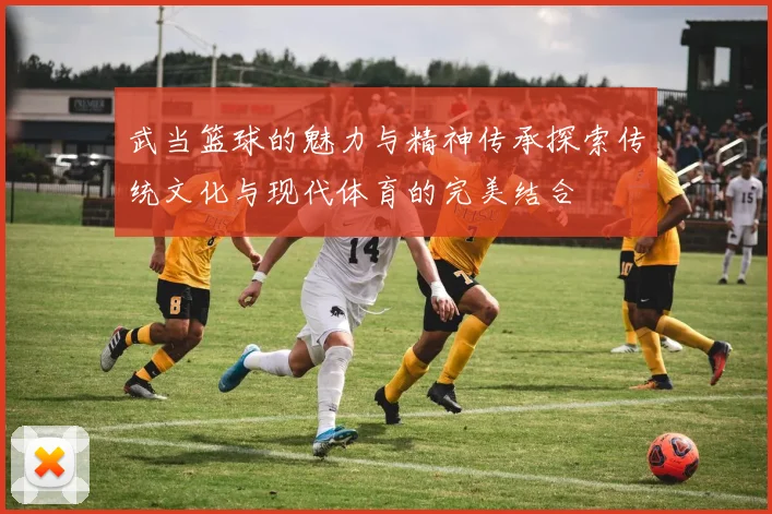 武当篮球的魅力与精神传承探索传统文化与现代体育的完美结合