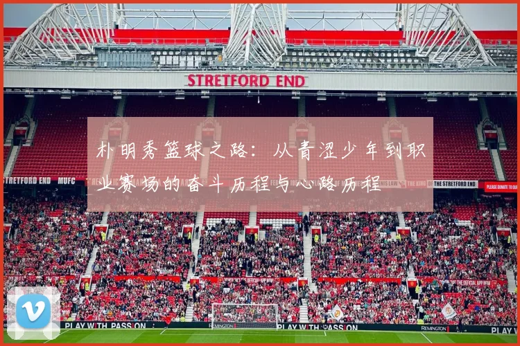 朴明秀篮球之路：从青涩少年到职业赛场的奋斗历程与心路历程