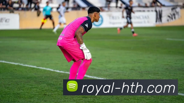 华体会中国平台生态图